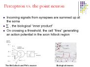 Perceptron vs. the point neuron