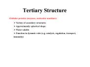 Tertiary Structure