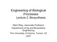 Engineering of Biological Processes Lecture 2: Biosynthesis