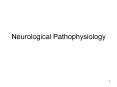 Neurological Pathophysiology PowerPoint PPT Presentation