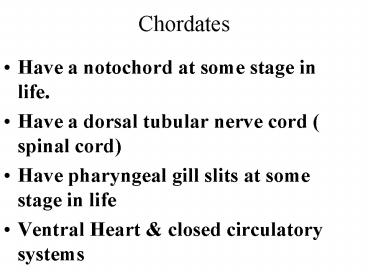 Chordates