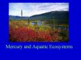 Mercury and Aquatic Ecosystems PowerPoint PPT Presentation