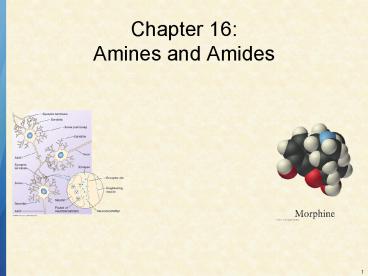 Chapter 16: Amines and Amides