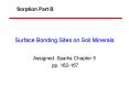 Surface Bonding Sites on Soil Minerals PowerPoint PPT Presentation