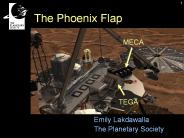 The Phoenix Flap