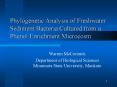 Phylogenetic Analysis of Freshwater Sediment Bacteria Cultured from a Phenol Enrichment Microcosm PowerPoint PPT Presentation