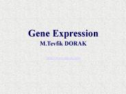Gene Expression [M.Tevfik DORAK]