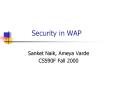 Security in WAP PowerPoint PPT Presentation