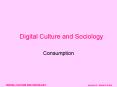 DIGITAL CULTURE AND SOCIOLOGY session 5  PowerPoint PPT Presentation