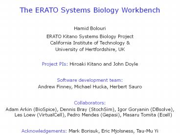 The ERATO Systems Biology Workbench