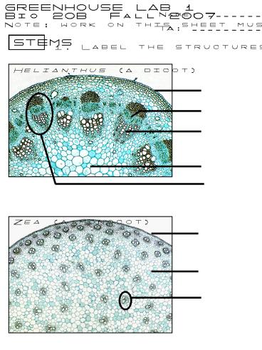 Name: __________________________