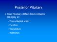 Posterior Pituitary PowerPoint PPT Presentation