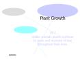 Plant Growth PowerPoint PPT Presentation
