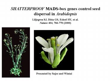 SHATTERPROOF MADSbox genes control seed dispersal in Arabidopsis