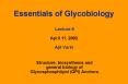 Essentials of Glycobiology Lecture 8 April 11, 2002 Ajit Varki PowerPoint PPT Presentation