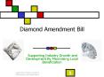 Diamond Amendment Bill PowerPoint PPT Presentation