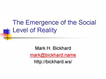 The Emergence of the Social Level of Reality