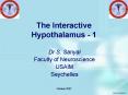 The Interactive Hypothalamus 1 PowerPoint PPT Presentation