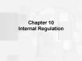 Chapter 10 Internal Regulation PowerPoint PPT Presentation