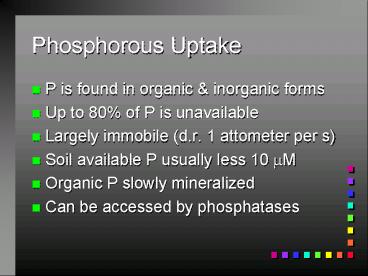 Phosphorous Uptake