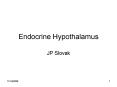 Endocrine Hypothalamus PowerPoint PPT Presentation