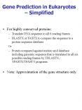 Gene Prediction in Eukaryotes Simplified PowerPoint PPT Presentation