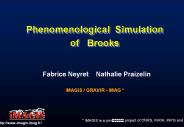 Phenomenological Simulation of  Brooks