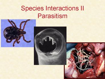Species Interactions II Parasitism
