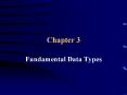Fundamental Data Types PowerPoint PPT Presentation