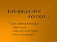 THE DIGESTIVE            SYSTEM I PowerPoint PPT Presentation