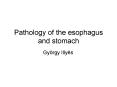 Pathology of the esophagus and stomach PowerPoint PPT Presentation