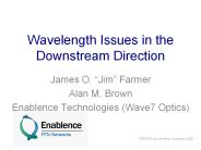 Wavelength Issues in the Downstream Direction