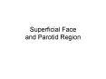 Superficial Face and Parotid Region PowerPoint PPT Presentation