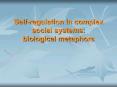 Self-regulation in complex social systems: biological metaphors PowerPoint PPT Presentation