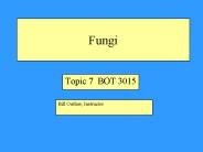 Fungi