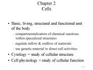 Chapter 2 Cells