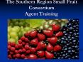 The Southern Region Small Fruit Consortium Agent Training PowerPoint PPT Presentation