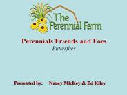 Perennials Friends and Foes