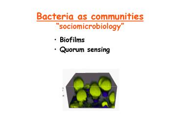 Bacteria as communities sociomicrobiology