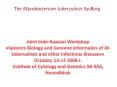 The Mycobacterium tuberculosis SysBorg PowerPoint PPT Presentation