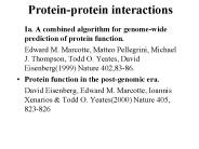 Protein-protein interactions