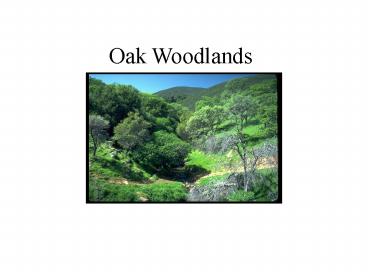 Oak Woodlands