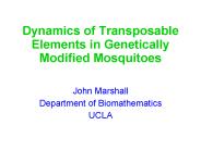Dynamics of Transposable Elements in Genetically Modified Mosquitoes