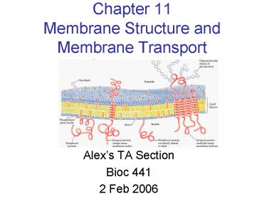Chapter 11 Membrane Structure and Membrane Transport