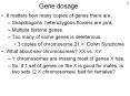Gene dosage PowerPoint PPT Presentation