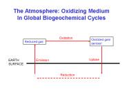The Atmosphere: Oxidizing Medium In Global Biogeochemical Cycles
