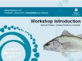 Workshop Introduction PowerPoint PPT Presentation