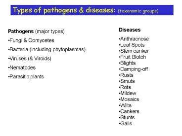 presentation player overlay