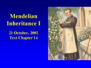 Mendelian Inheritance I 21 October, 2002 Text Chapter 14