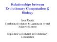 Relationships%20between%20Evolutionary%20Computation%20 PowerPoint PPT Presentation